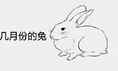2023年农历几月份的兔宝宝好