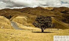 2021年白羊座8月运势及运程 2021年8月白羊座运势完整解读