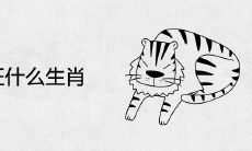 虎年旺什么生肖