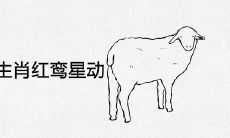 2022年什么生肖红鸾星动