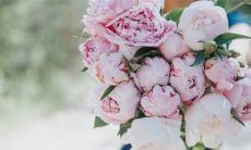 2023年2月14日情人节领证日子吉利吗 此日是登记好日子吗