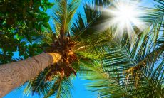 白羊座的性格 有朝气独立性强