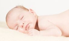 91年的羊在2022年几月会添丁