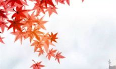 2023年二月理发黄道吉日 今年农历二月有哪些好日子