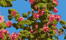 2023年4月2日是农历多少星期几 今日良辰吉时