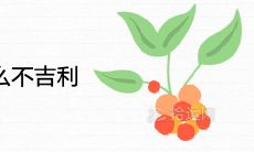 养牵牛花为什么不吉利 是不是吉祥花