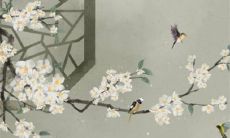 农历二月生的今年能过3次生日 2023年闰二月有什么说法吗？