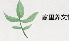 家里养文竹有风水禁忌吗 摆放三不要是什么