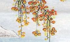 2023年闰二月做寿衣好吗 闰二月几年一次？