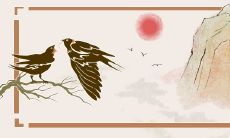 生肖狗2023年每月运势 属狗兔年全年运