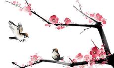 2023年3月黄道吉日查询，2023年3月好日子