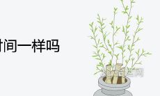 每年立春时间一样吗 一定在2月4日吗