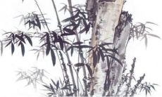 2023年2月14日可以剪头发吗 情人节适合理发吗