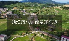 赌坛风水让你留连忘返