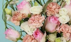 2023年3月30日领证日子吉利吗 此日是登记好日子吗