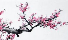 2023年新历3月领证最佳吉日 本月登记好日子