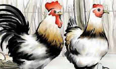 属鸡相亲的时候怎么做成功几率大