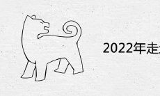 2022年走运的生肖