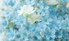 2023年2月领证吉日一览表 领证的好日子有哪些呢