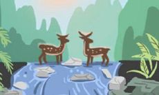 带你感受厦门茶文化