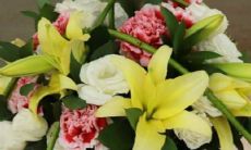 2023年2月领证寓意好日子 领证黄道吉日查询