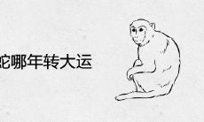 77年蛇哪年转大运