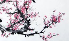 正月十七管中人什么意思 正月十七买碗好不好