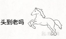 男兔女马能白头到老吗 适合做夫妻吗