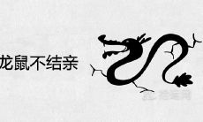 为什么说龙鼠不结亲 婚姻相配吗