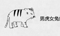 男虎女兔结婚的下场 在一起后婚姻如何