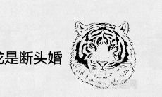 86年虎和88年龙是断头婚吗 婚姻结局怎么样