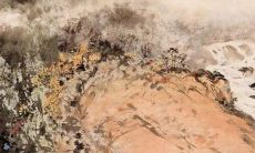 雨水节气物候特征吃什么食物最好 雨水节气的谚语