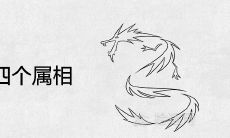 属龙犯冲的四个属相及化解方法