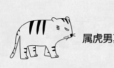 属虎男真正爱的女人具有哪些特征