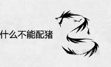 88年龙为什么不能配猪 婚姻不合适吗