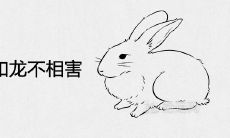 几月份的兔和龙不相害 龙缠兔辈辈富是真的吗