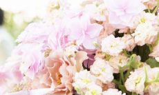 2023年情人节是哪一天 2023年2月14日是什么日子