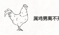 属鸡男离不开什么女人 命中注定的另一半