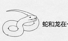 蛇和龙在一起对谁不利 夫妻运势怎么样