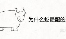 为什么蛇最配的是牛 一生婚姻分析