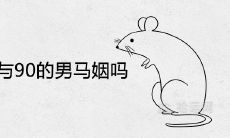 96年的女鼠与90的男马婚姻相配吗 是上等婚姻吗