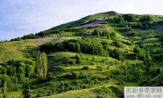 水瓶座2022年1月运势及运程完整版解读