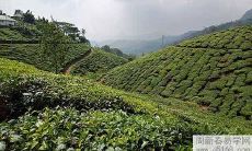 属龙水瓶座2022年运势及运程预测分析