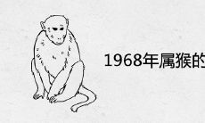 1968年属猴的最佳配偶