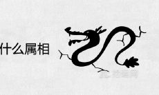 属龙的最怕和什么属相在一起