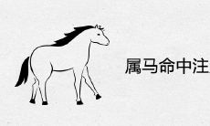 属马命中注定的情人