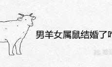 男羊女属鼠结婚了咋办 怎么化解合适