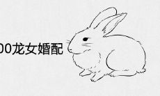 1999年兔男与2000年龙女婚配