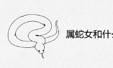 属蛇的女生和什么属相最好