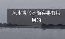 风水青鸟术确实事有用果的